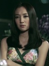 穿Prada的树