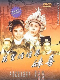 万里烽烟寻妹喜