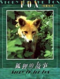 狐狸的故事