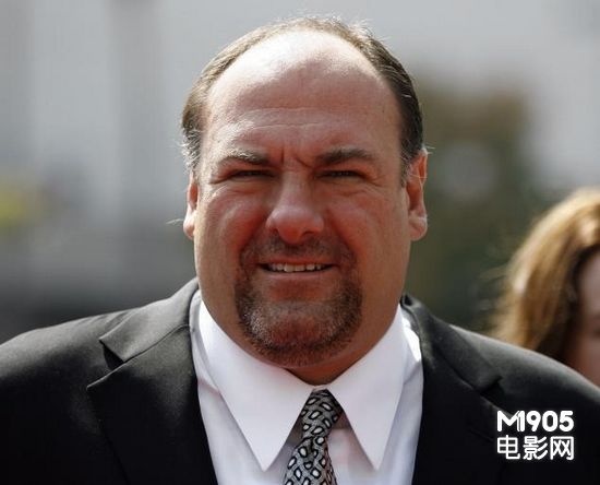 热播剧《黑道家族》主演甘多菲尼去世 享年51岁_海外_电影网_1905.com