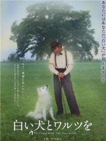 共舞華爾茲