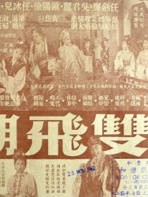 双飞蝴蝶