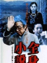 全身小说家
