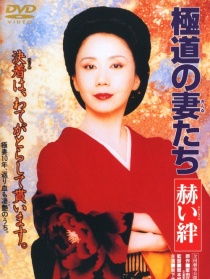 极道之妻6