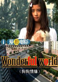 狗狗情缘
