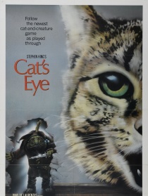 猫眼看人