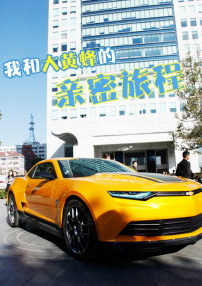 我和大黄蜂的亲密旅程