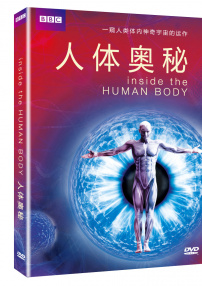 人体奥秘
