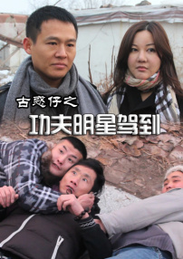 古惑仔之功夫明星駕到