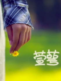 萱萼