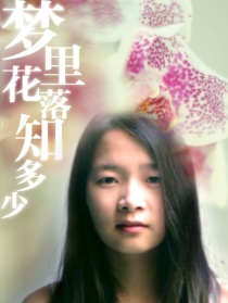 夢里花落知多少