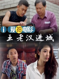王老汉进城