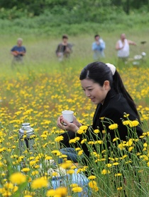田野四十九天