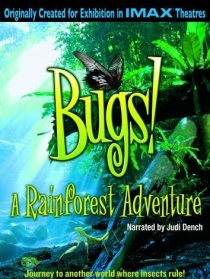 Bugs!
