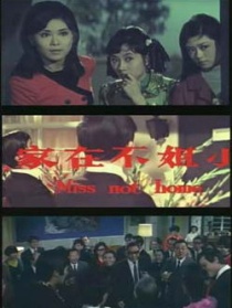 小姐不在家