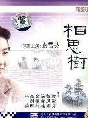 相思樹(shù)