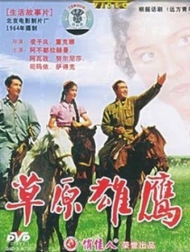 草原雄鷹