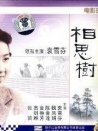 相思樹