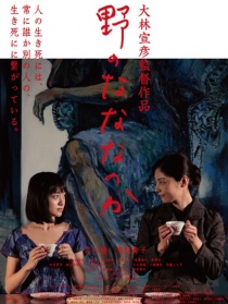 娜娜的领域