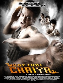 泰南拳