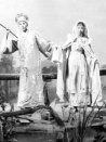 火網(wǎng)梵宮十四年