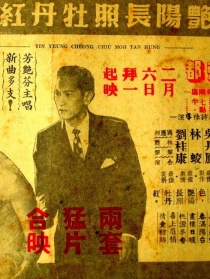 艷陽長照牡丹紅