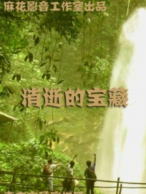 消逝的宝藏