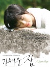 淺淺的睡眠