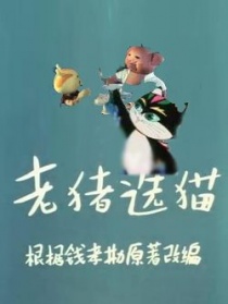 老猪选猫
