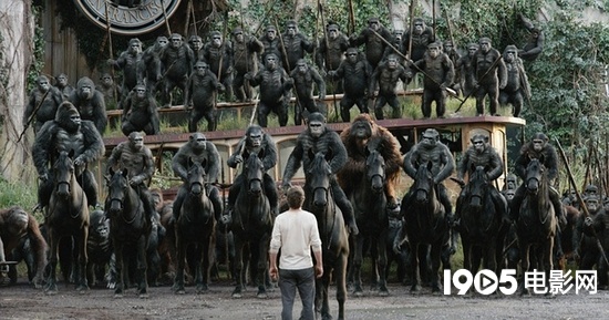 《猩球崛起2》格局大暗喻人类 动作捕捉全面发挥_影评_电影网_1905.com