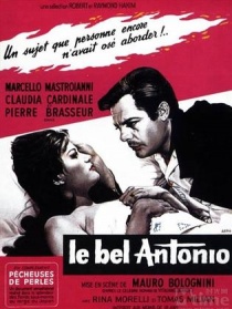 英俊的安东尼奥