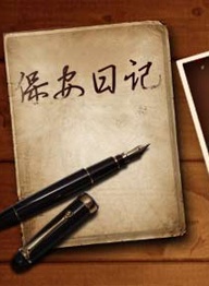 保安日记