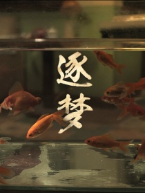 逐夢(mèng)