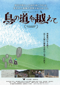 穿過鳥道