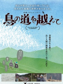 穿過鳥道