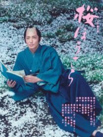 櫻花的法則