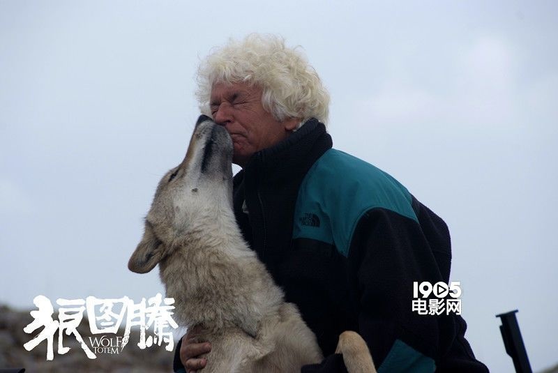 近日,由法国知名导演让·雅克·阿诺执导,冯绍峰主演的影片《狼图腾》曝光了国际版预告片。这版预告片长达两分半,除了呈现出大致剧情脉络,还有气势恢宏的辽阔草原和人狼大战的危险场面,而其中最感人的则是狼爸冯绍峰对小狼的真挚感情。不少网友都特别期待此片的上映,并给冯叔留言,一定会拖家带口一起在春节期间去影院支持。 影片《狼图腾》根据姜戎同名畅销小说改编,讲述了冯绍峰饰演的知青陈阵下乡来到草原后迷恋上了狼,从而和当地人产生矛盾的一系列故事。预告片开始用广阔的镜头还原出大草原