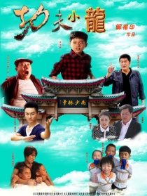 功夫小龍