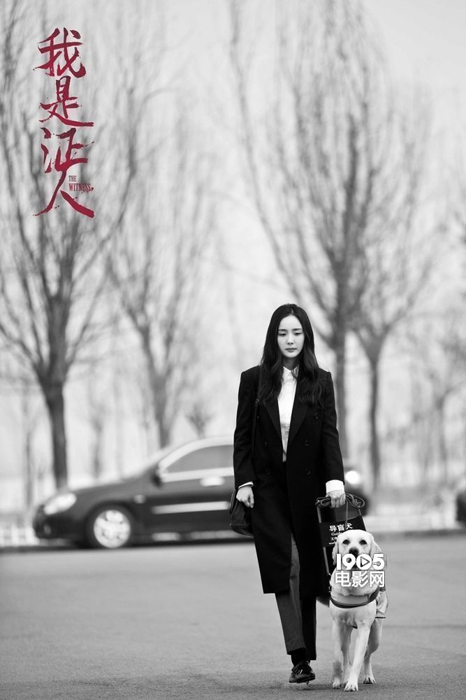 朱亚文《我是证人》演日租花式"虐待"杨幂鹿晗别墅海边大连反派图片
