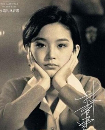 林青霞黄圣依杨幂 古典气质女星堪称业界清流