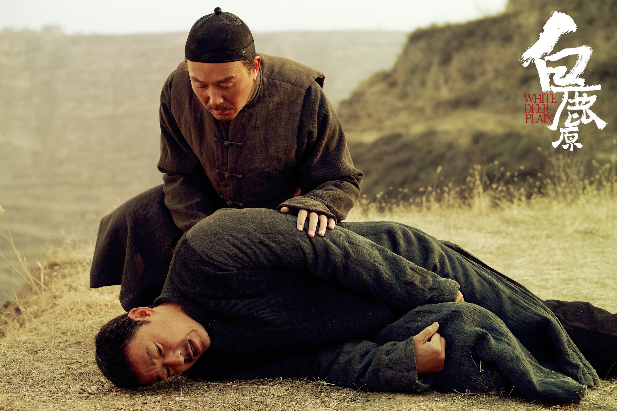 《白鹿原》编剧认可李沁演技:谁说田小娥只能野