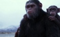 《猩球崛起3》新片段 猿族