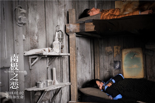 被《南极之恋》吓到?你需要这份南极完全手册