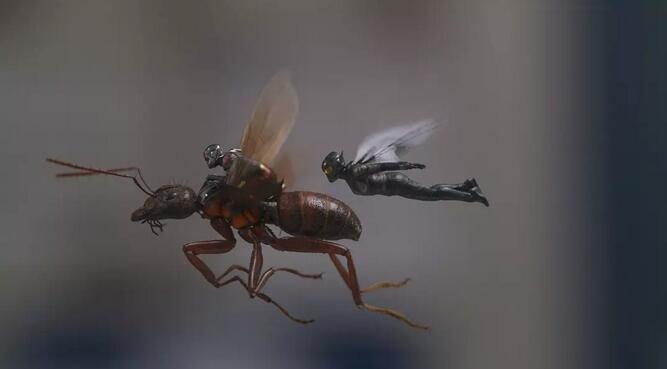 《蚁人2》曝角色海报 蚁人、黄蜂女与反派出场