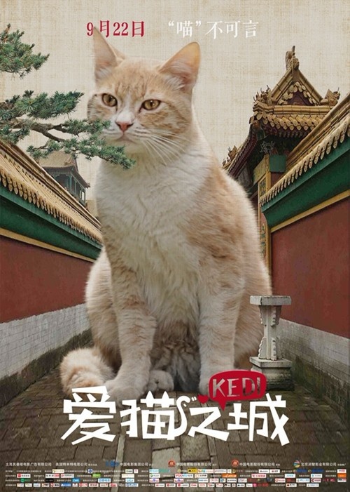 《爱猫之城》中国风海报 土耳其萌猫化身