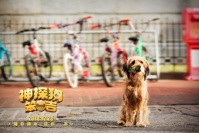 《神探狗笨吉》定档12.28 ＂超级萌宠＂登中国银幕(图2)