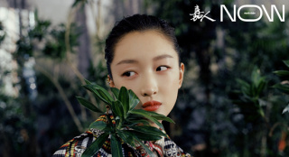 少女闯入热带雨林！周冬雨登封演绎英伦格调大片