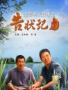 法官老张轶事之告状记