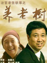 法官老张轶事之养老树
