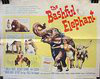 The Bashful Elephant